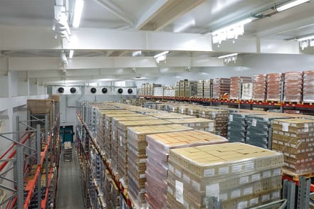 Elevating Direct-to-Consumer Brand Success with Temperature-Controlled Warehousing